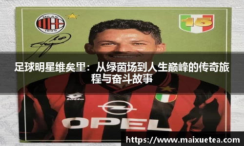 星空·综合体育