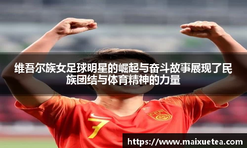 星空·综合体育官方网站